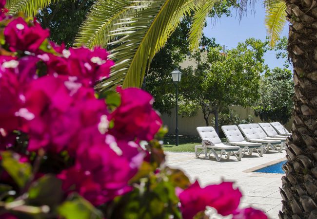 Villa en Almancil - Villa Caravela | 4 Dormitorios | Hermoso Jardin | Almancil Villa en Almancil - Villa Caravela | 4 Dormitorios | Hermoso Jardin | Almancil