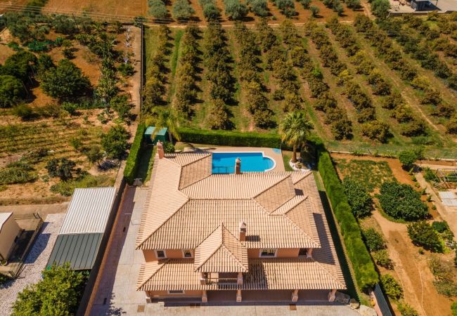 Villa en Albufeira - Villa Elizabeth Villa en Albufeira - Villa Elizabeth