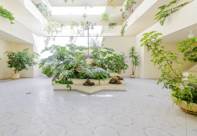 Apartamento en Vilamoura - Europa Apartamento en Vilamoura - Europa