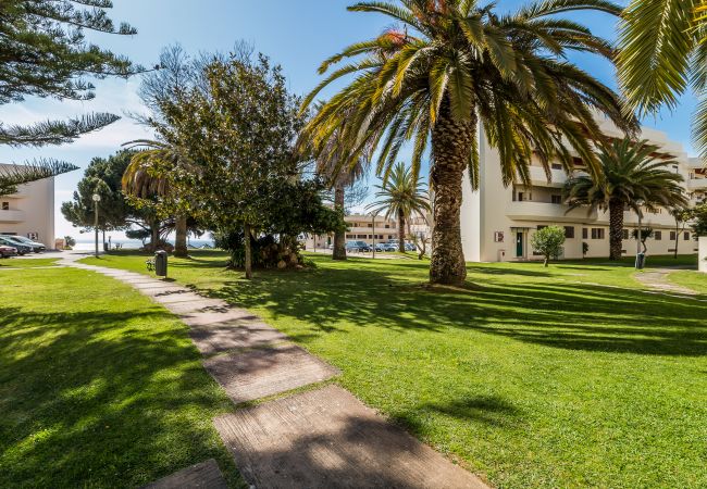 Apartamento en Lagos - Iberlagos: Casa Luna | Top Location | Dona Ana Beach Apartamento en Lagos - Iberlagos: Casa Luna | Top Location | Dona Ana Beach