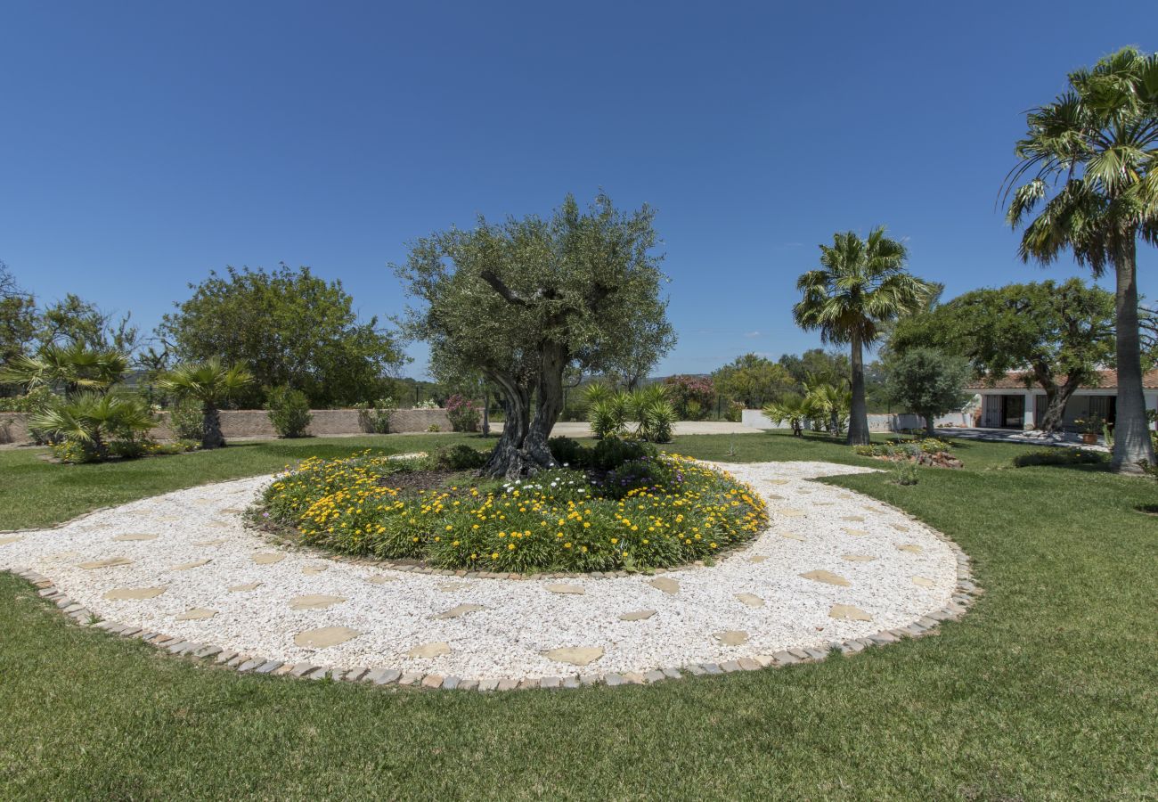 Villa à Loulé - Villa Isabelle | 4 Chambres | Sans Vis à Vis | Loulé