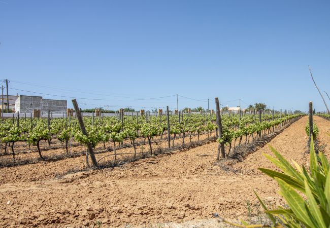 Villa à Albufeira - Quinta Dionysus | 6 Chambres | Propre Vignoble | Albufeira Villa à Albufeira - Quinta Dionysus | 6 Chambres | Propre Vignoble | Albufeira