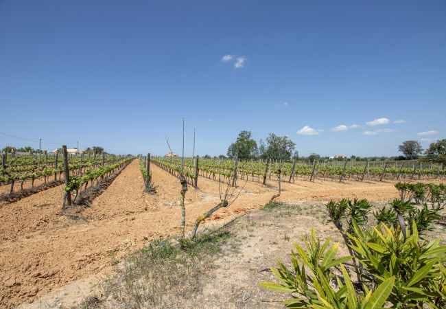Villa à Albufeira - Quinta Dionysus | 6 Chambres | Propre Vignoble | Albufeira Villa à Albufeira - Quinta Dionysus | 6 Chambres | Propre Vignoble | Albufeira