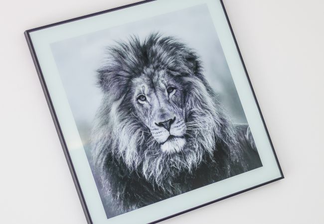 Appartement à Lagos - Iberlagos: Casa Luna | Top Location | Dona Ana Beach Appartement à Lagos - Iberlagos: Casa Luna | Top Location | Dona Ana Beach