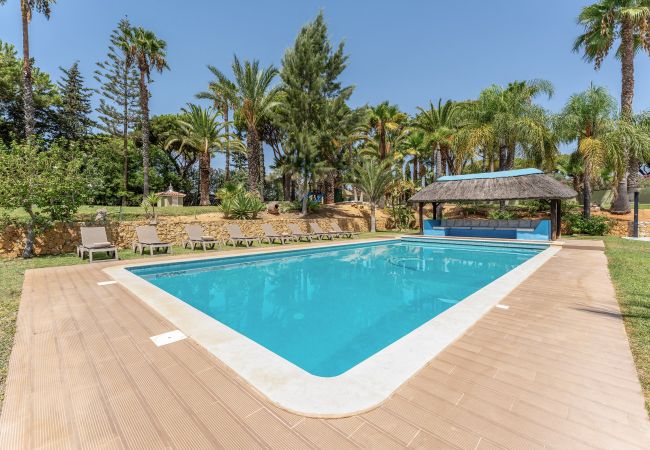 Villa à Vilamoura - Villa Natura | 6 Chambres | Villa Spectaculaire avec Jardin Spacieux | Vilamoura Villa à Vilamoura - Villa Natura | 6 Chambres | Villa Spectaculaire avec Jardin Spacieux | Vilamoura
