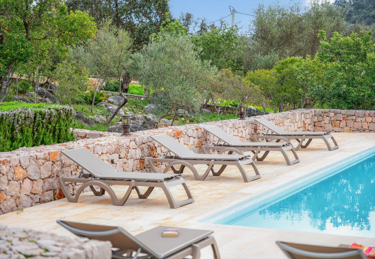 Villa à São Brás de Alportel - Villa Horizonte | 5 chambres | Vue panoramique | São Brás de Alportel