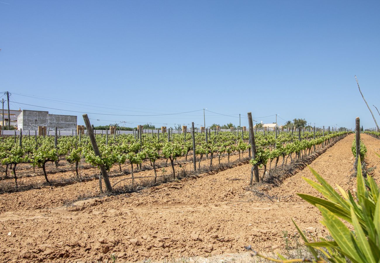 Villa à Albufeira - Quinta Dionysus