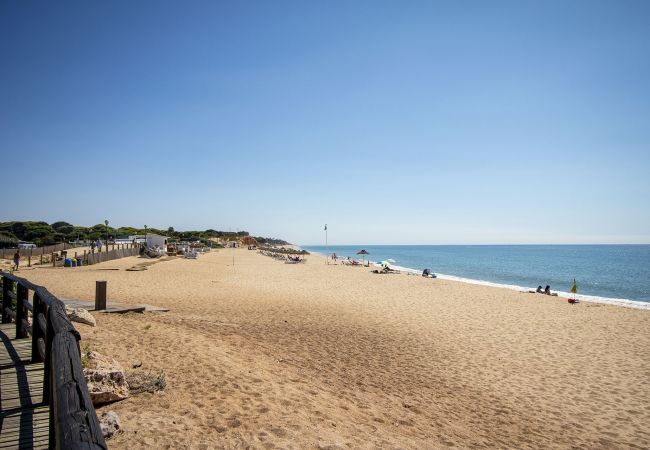 Apartment in Quarteira - Apartamento Carteia Apartment in Quarteira - Apartamento Carteia