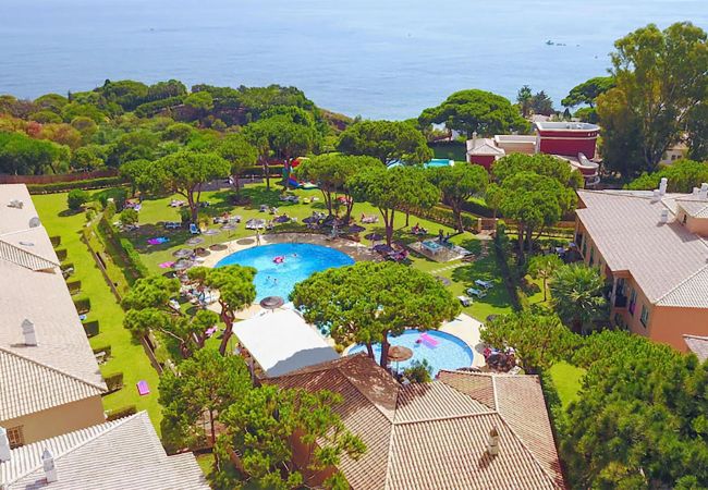 Apartment in Albufeira - Apartamento Pedra dos Bicos T1 Apartment in Albufeira - Apartamento Pedra dos Bicos T1