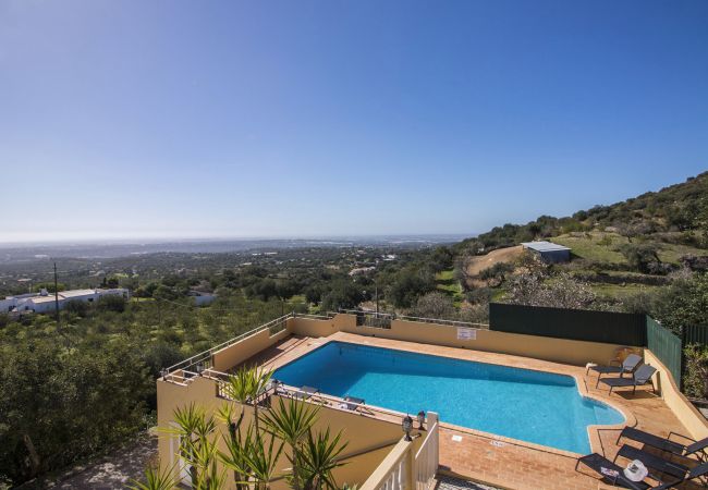 Villa in Estoi - Villa Florêncio Villa in Estoi - Villa Florêncio