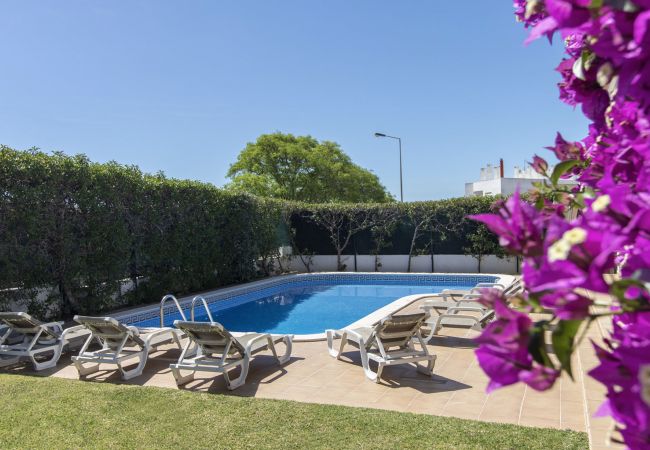 Villa em Albufeira - Villa Tulipa Villa em Albufeira - Villa Tulipa