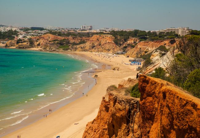 Apartamento em Albufeira - Falesia Beach B