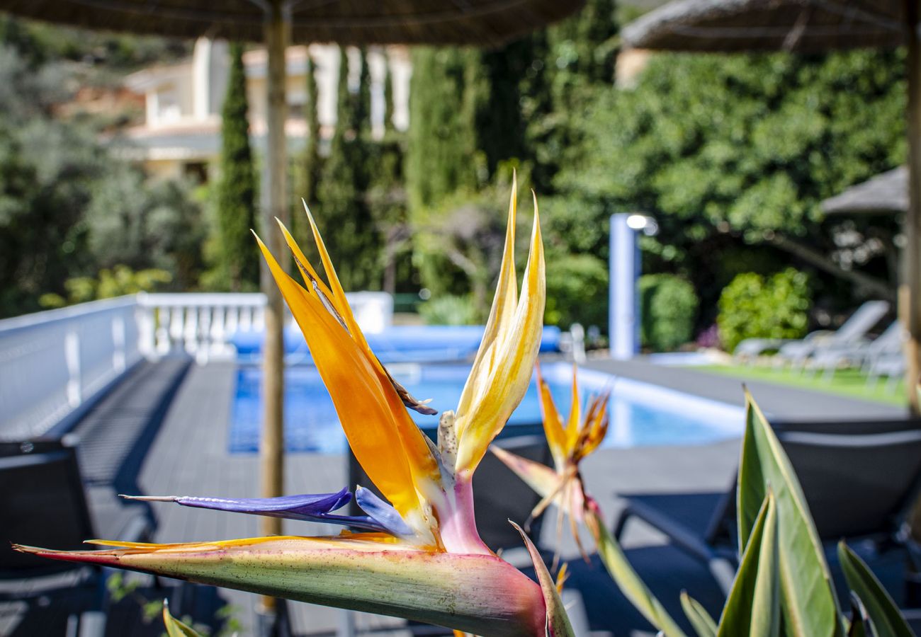 Villa em Santa Bárbara de Nexe - Villa Raymar | 4 Quartos | Vista Panoramica | Sta. Barbara de Nexe