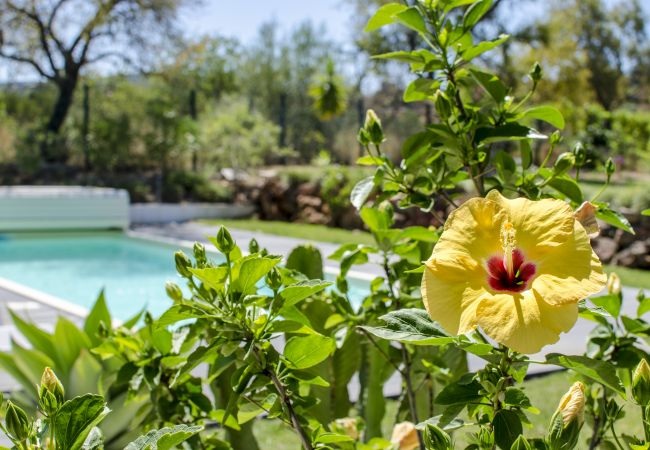 Villa em Loulé - Villa Isabelle | 4 Quartos | Privacidade Total | Loulé Villa em Loulé - Villa Isabelle | 4 Quartos | Privacidade Total | Loulé