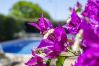 Villa em Albufeira - Villa Tulipa | 4 Quartos | Piscina Privada | Albufeira Villa em Albufeira - Villa Tulipa | 4 Quartos | Piscina Privada | Albufeira