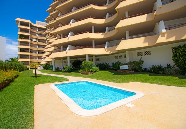 Apartamento em Vilamoura - Apt. Varandas do Sol | 2 Quartos | Vista Mar | Vilamoura Apartamento em Vilamoura - Apt. Varandas do Sol | 2 Quartos | Vista Mar | Vilamoura
