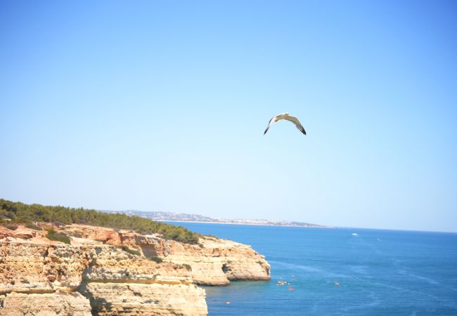Casa geminada em Lagoa - Casa Benagil Mar | 2 Quartos | Vista Mar | Benagil Casa geminada em Lagoa - Casa Benagil Mar | 2 Quartos | Vista Mar | Benagil