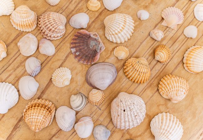 Apartamento em Lagos - Sea La Vie | On the Beach, City Center & Marina  Apartamento em Lagos - Sea La Vie | On the Beach, City Center & Marina