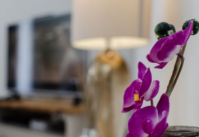 Terraced House in Almancil - Casa no Sol | 3 Bedrooms | Modern | Almancil Terraced House in Almancil - Casa no Sol | 3 Bedrooms | Modern | Almancil