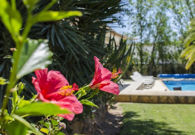 Villa in Almancil - Villa Caravela | 4 Bedrooms | Beautiful Garden | Almancil Villa in Almancil - Villa Caravela | 4 Bedrooms | Beautiful Garden | Almancil