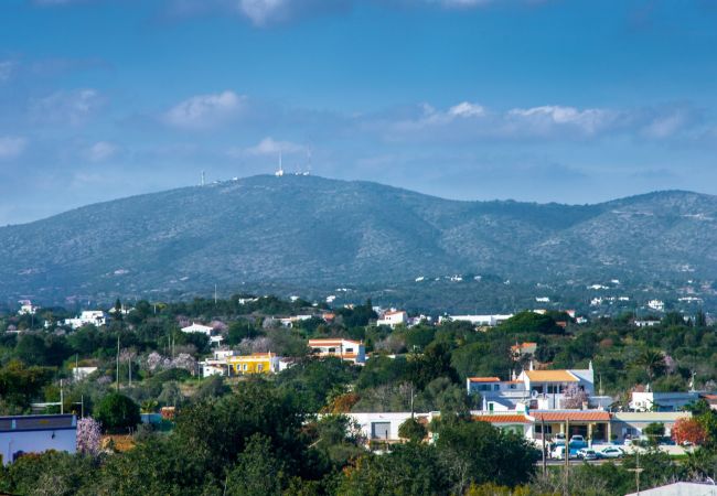 Villa in Fuseta - Villa do Patio Villa in Fuseta - Villa do Patio