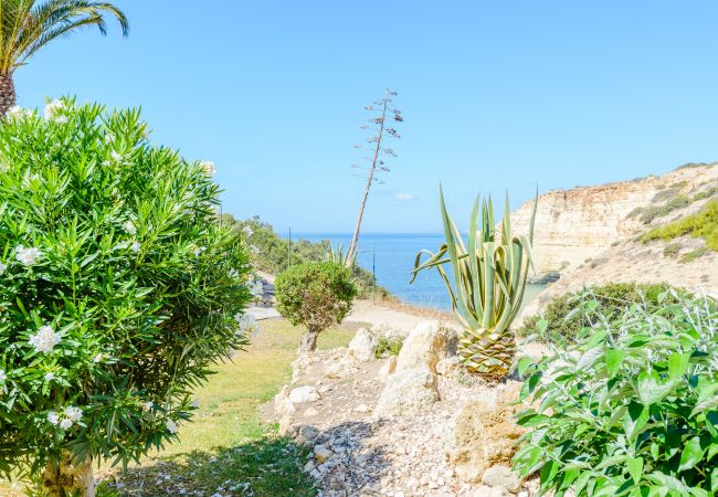 Apartment in Carvoeiro - The Little Paradise Apartment in Carvoeiro - The Little Paradise
