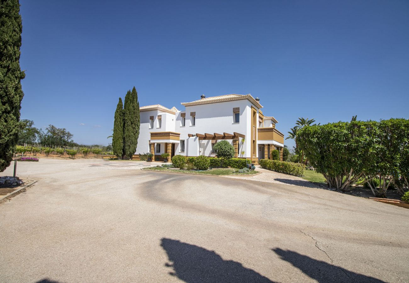 Villa in Albufeira - Quinta Dionysus | 6 Bedrooms | Own Vineyard | Albufeira