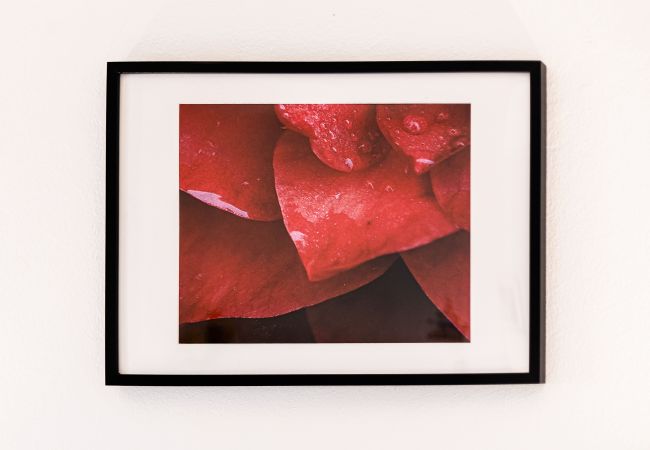 Apartment in Lagos - Peaceful Panorama apartment in central Lagos Apartment in Lagos - Peaceful Panorama apartment in central Lagos