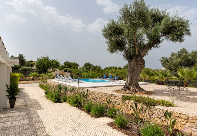 Villa in Almancil - Villa Natalia Villa in Almancil - Villa Natalia