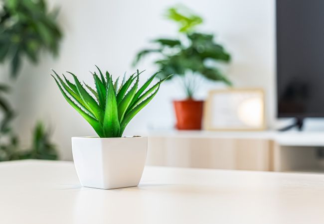 Apartment in Lagos - Cozy in Lagos Apartment in Lagos - Cozy in Lagos